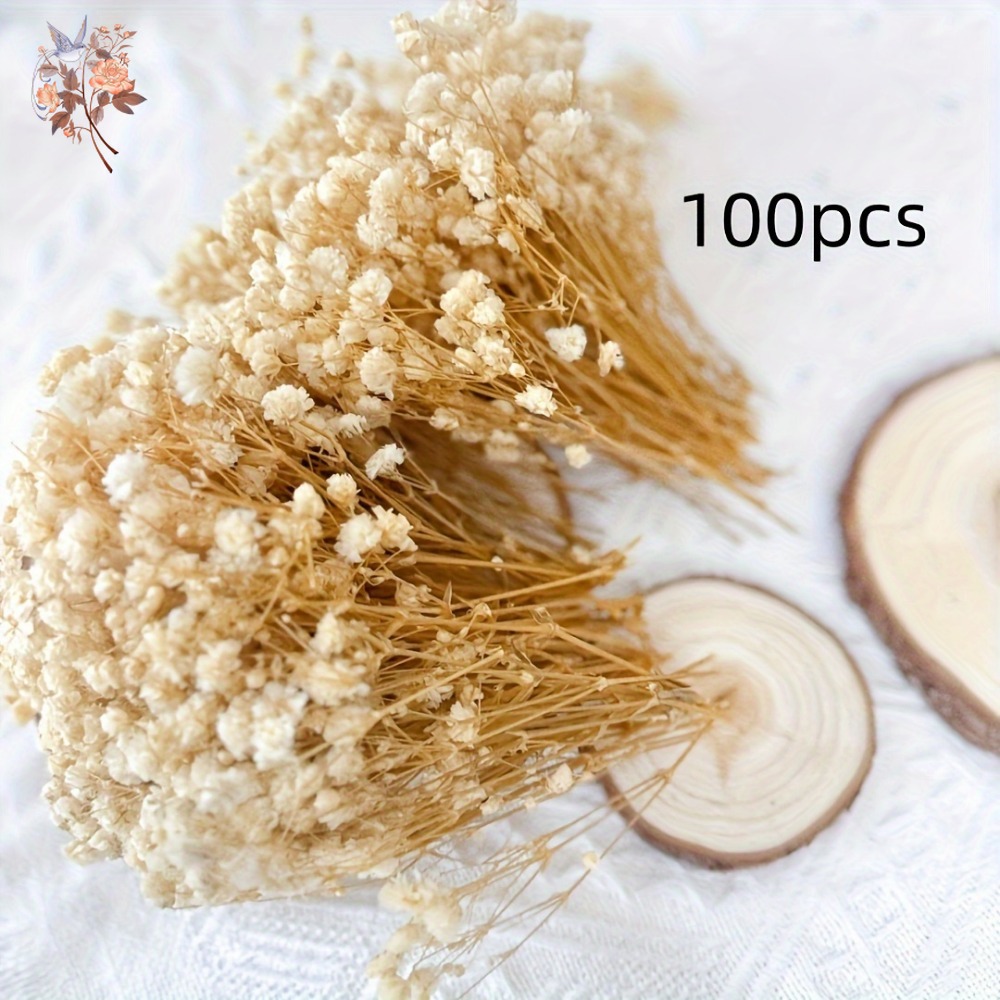 100pcs Mini Dried Baby's Breat - огляд і ціна Embellish Craft