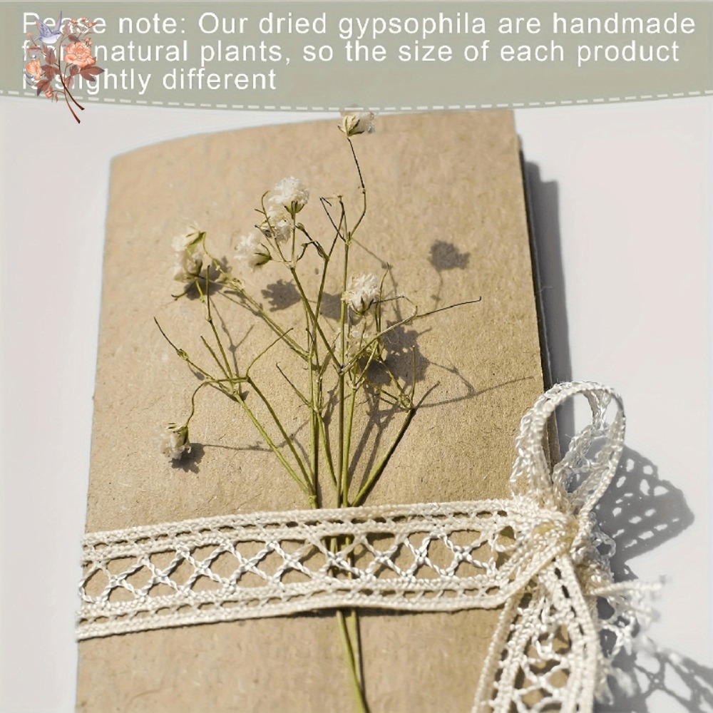 100pcs Mini Dried Baby's Breat - огляд і ціна Embellish Craft